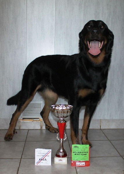 Indienne de cheyenne des Gardiens de la Nacre