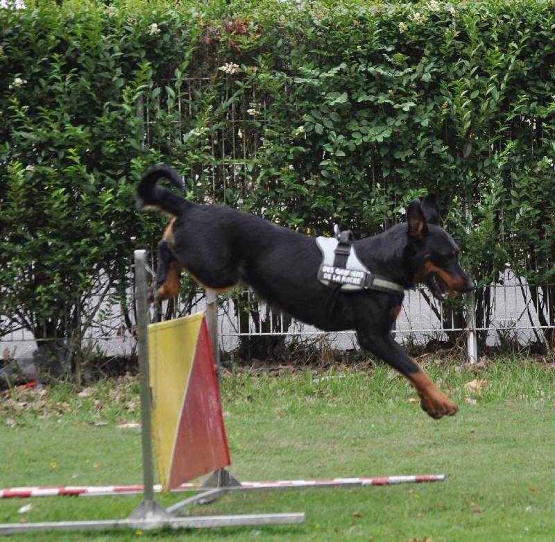 Faïka des Gardiens de la Nacre