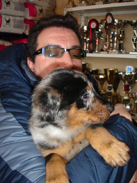 Cheyenne argentée du temple de feu