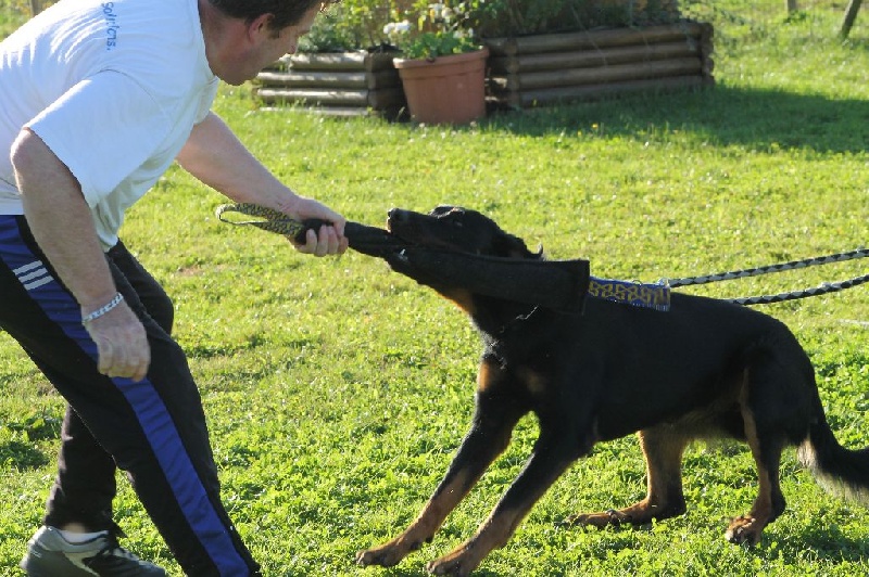 Indienne de cheyenne des Gardiens de la Nacre