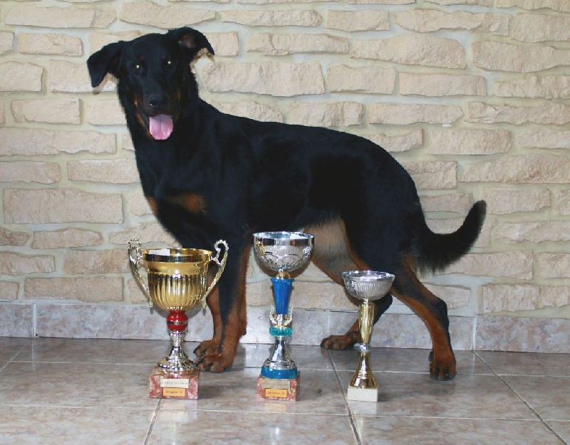 Indienne de cheyenne des Gardiens de la Nacre