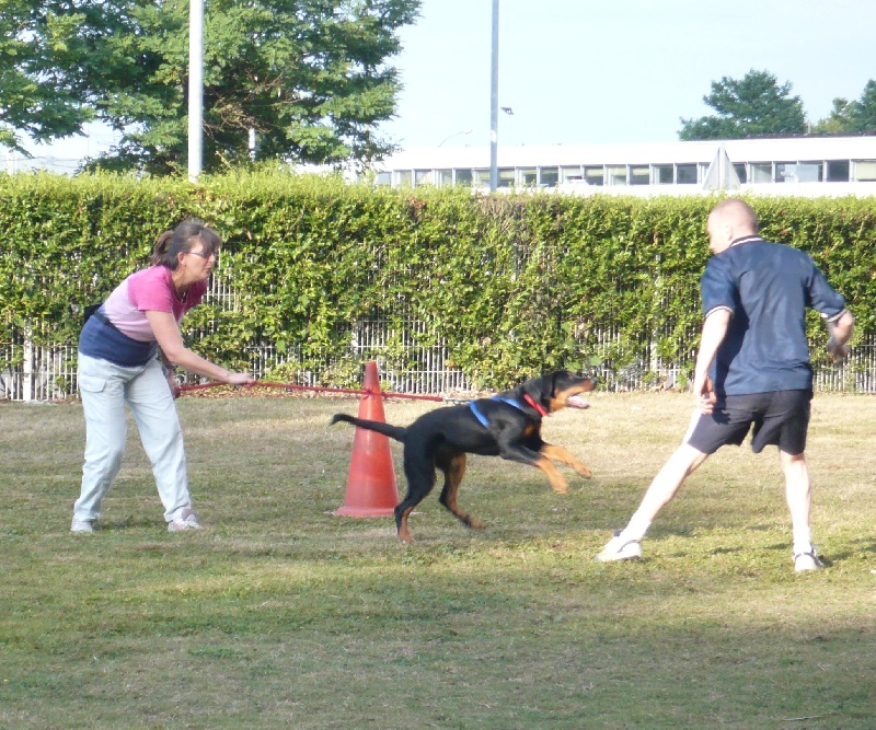 Faïka des Gardiens de la Nacre
