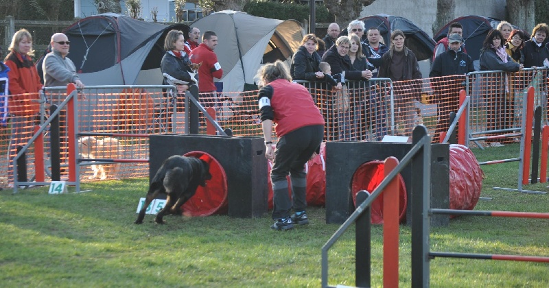 Vulcain (Sans Affixe)