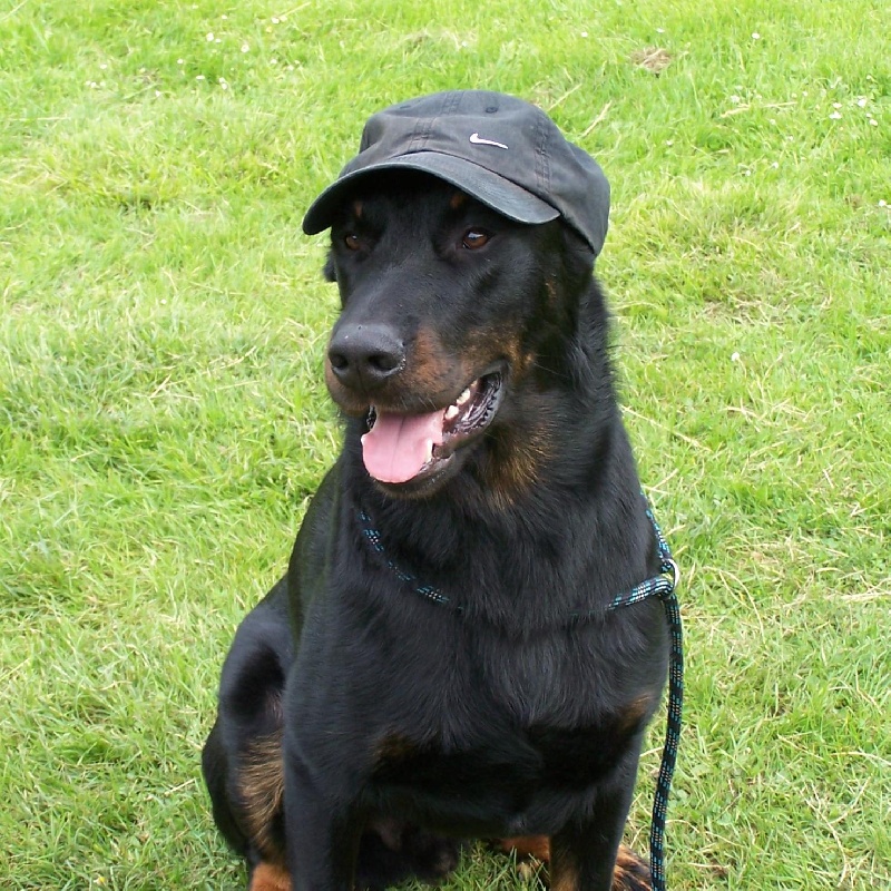 Vulcain (Sans Affixe)