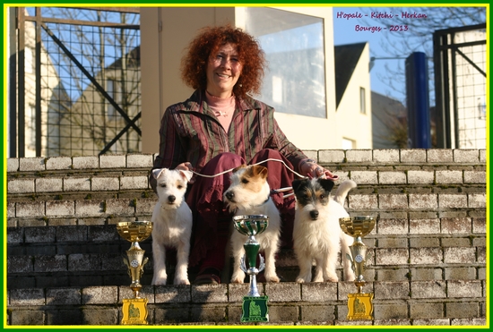 Publication : De la tribu de kitchi Auteur : Myriam HIRON