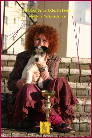 Publication : De la tribu de kitchi Auteur : Myriam HIRON