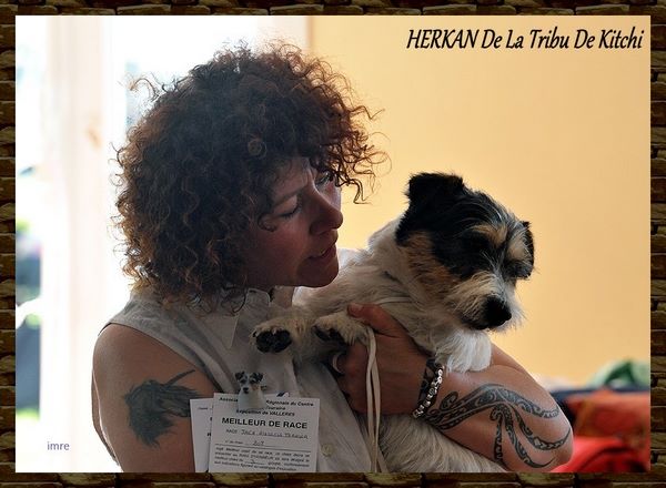 Publication : De la tribu de kitchi Auteur : Myriam HIRON