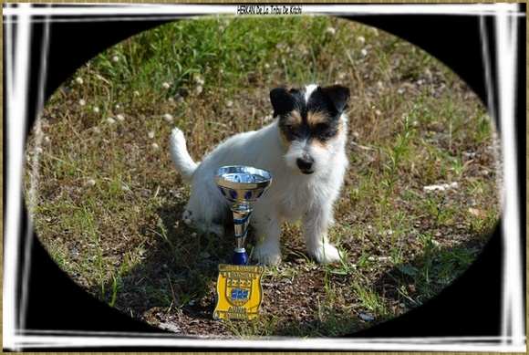 Publication : De la tribu de kitchi Auteur : Myriam HIRON