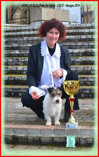 Publication : De la tribu de kitchi Auteur : Myriam HIRON