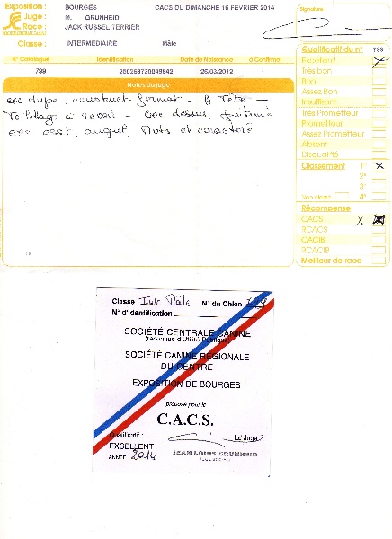 Herkan De la tribu de kitchi - 1er Excellent / C.A.C.S.