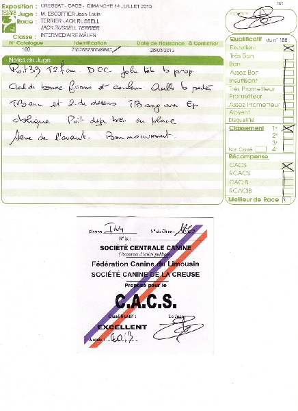 Herkan De la tribu de kitchi - 1er Excellent / C.A.C.S.