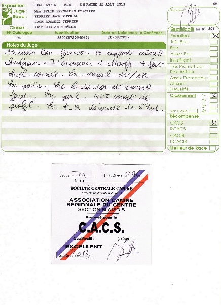 Herkan De la tribu de kitchi - 1er Excellent / C.A.C.S.