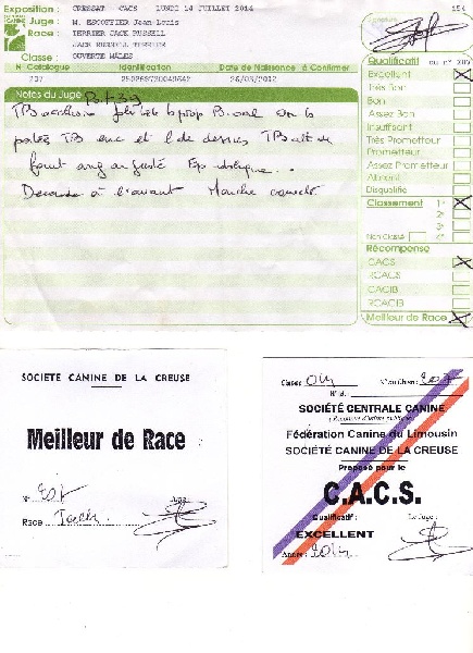 Herkan De la tribu de kitchi - 1er Excellent / C.A.C.S. / MEILLEUR de RACE