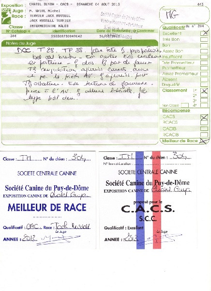 Herkan De la tribu de kitchi - 1er Excellent / C.A.C.S. / Meilleur de Race