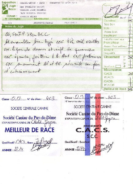 Herkan De la tribu de kitchi - 1er Excellent / C.A.C.S. / MEILLEUR de RACE