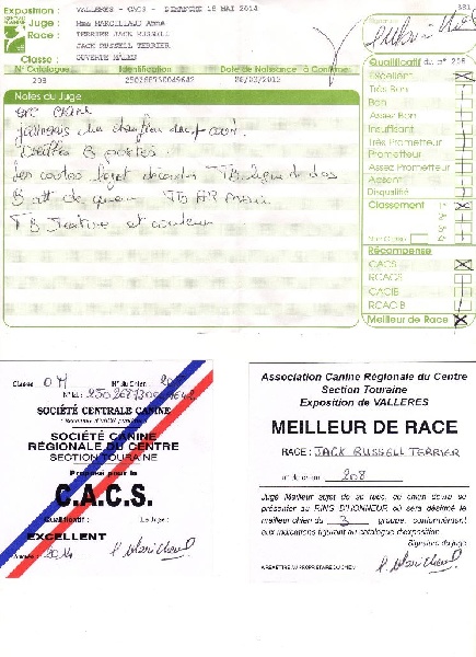 Herkan De la tribu de kitchi - 1ER EXCELLENT / C.A.C.S. / MEILLEUR de RACE