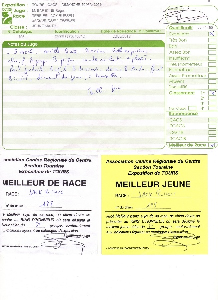 Herkan De la tribu de kitchi - 1er Excellent / Meilleur Jeune / Meilleur de Race
