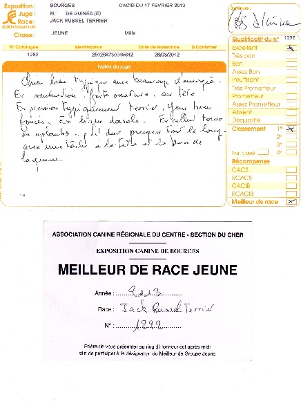 Herkan De la tribu de kitchi - 1er Excellent / Meilleur de Race