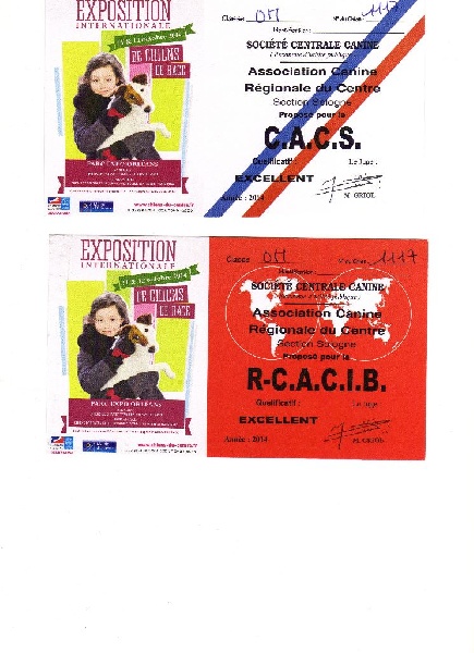 Herkan De la tribu de kitchi - 1er EXCELLENT / C.A.C.S / R.C.A.C.I.B.