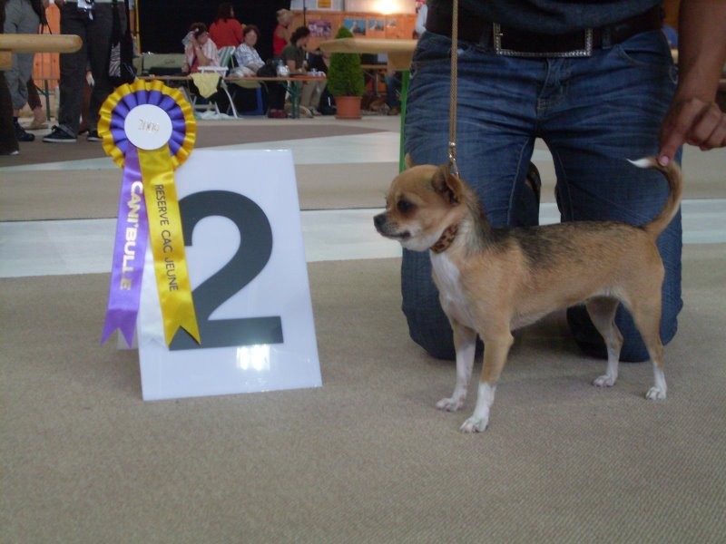 Publication : De La Vannia Des Corbes