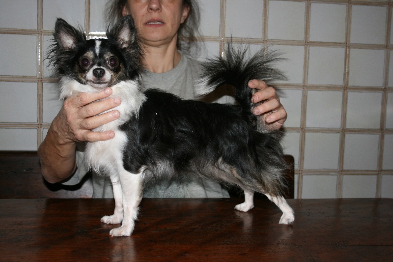 Publication : De La Vannia Des Corbes