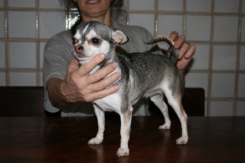 Publication : De La Vannia Des Corbes