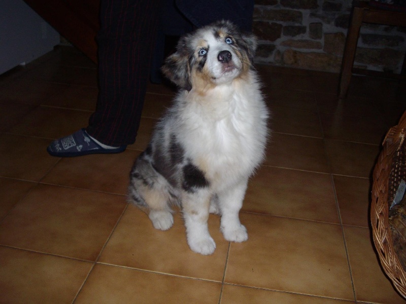 Publication : De La Vallee Du Zance Auteur : gilles roy