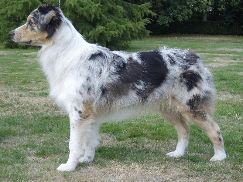 Publication : De La Vallee Du Zance Auteur : gilles roy