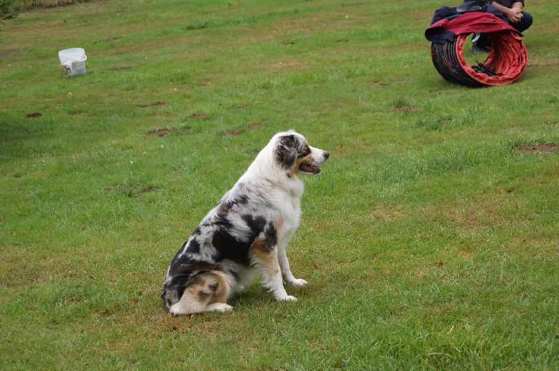 Publication : De La Vallee Du Zance Auteur : gilles roy
