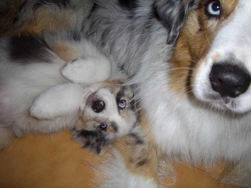 Publication : De La Vallee Du Zance Auteur : gilles roy