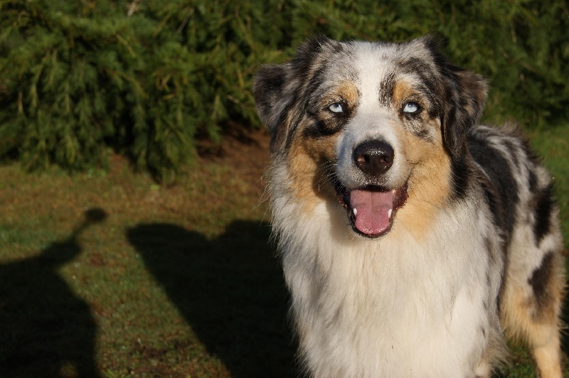 Publication : De La Vallee Du Zance Auteur : gilles roy