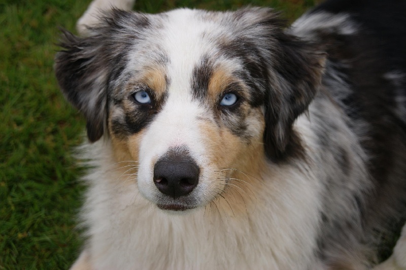 Publication : De La Vallee Du Zance Auteur : gilles roy