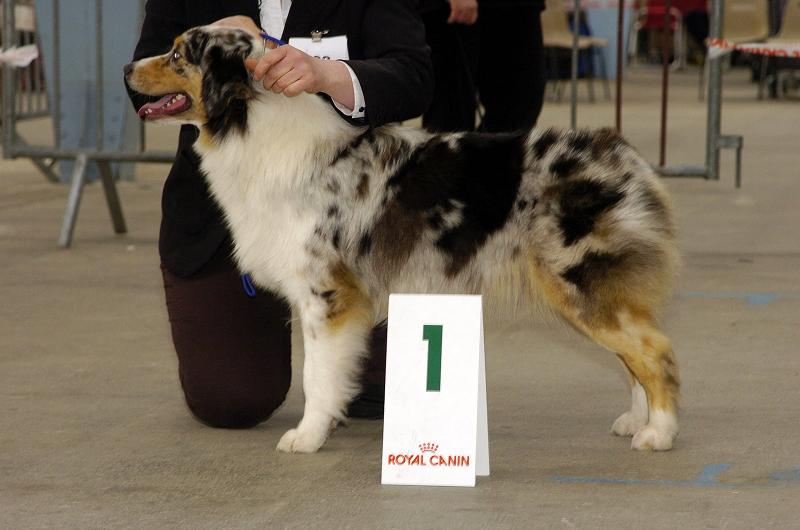 Publication : De La Vallee Du Zance Auteur : gilles roy