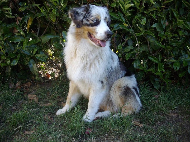 Publication : De La Vallee Du Zance Auteur : gilles roy