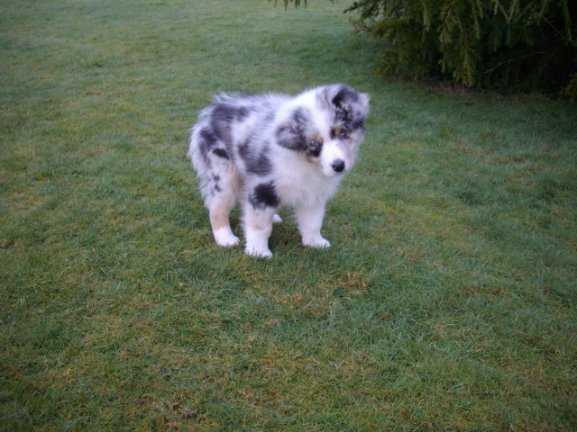 Publication : De La Vallee Du Zance Auteur : gilles roy