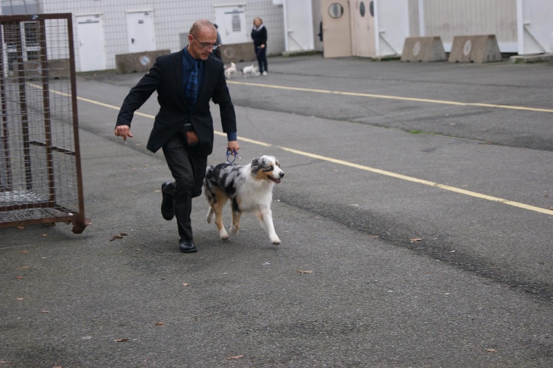 Evy pretty girl des dolmens d'An Arvor - excellent non classé en classe ouverte