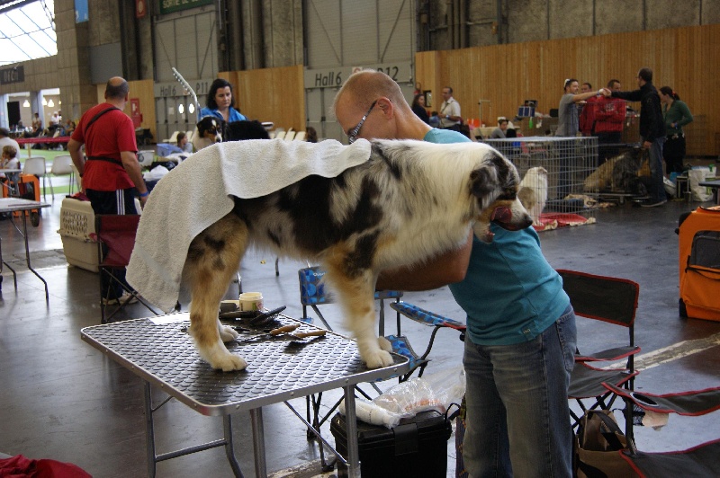 Evy pretty girl des dolmens d'An Arvor - exc, non classé en classe intermédiaire