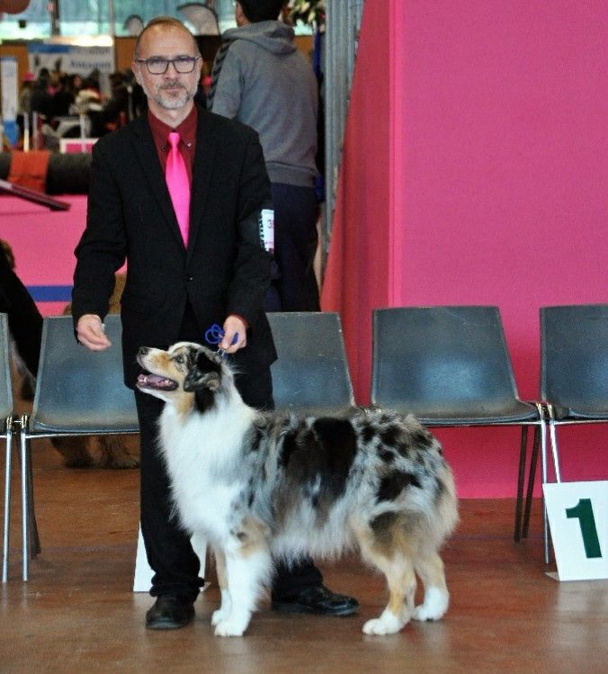 Evy pretty girl des dolmens d'An Arvor - 1ère excellent en classe vétéran, Meilleur Vétéran