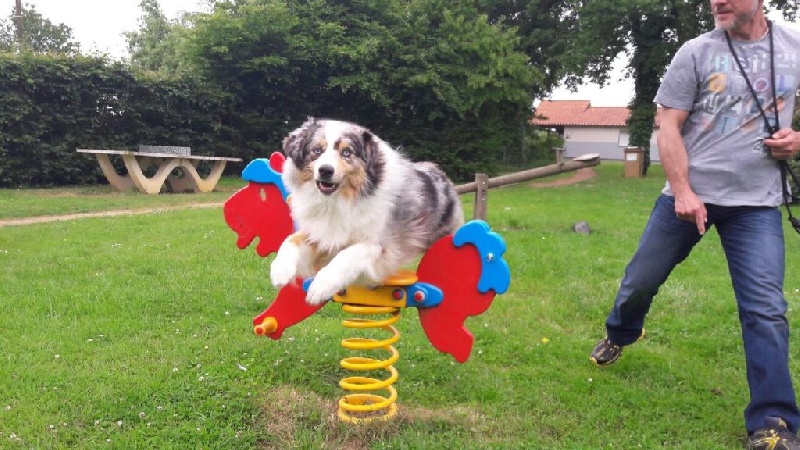 Evy pretty girl des dolmens d'An Arvor - Diplome obtenu !