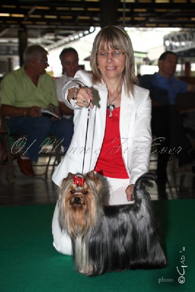 Publication : du Ly's D'Eden Auteur : GAD