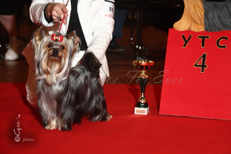 Publication : du Ly's D'Eden Auteur : GAD