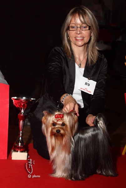 CH. Everlasting love Du domaine du president - 3ème excellent classe intermédiaire femelle