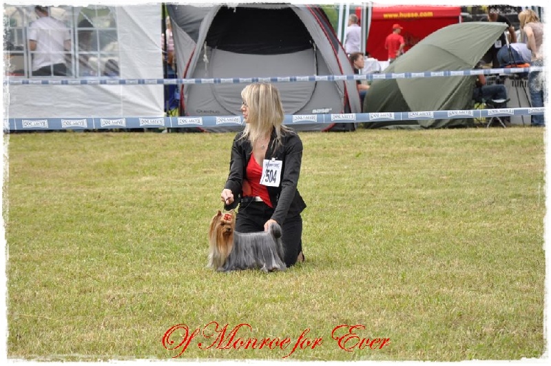 CH. Everlasting love Du domaine du president - CAC CACIB BOB 3EME DU GROUPE