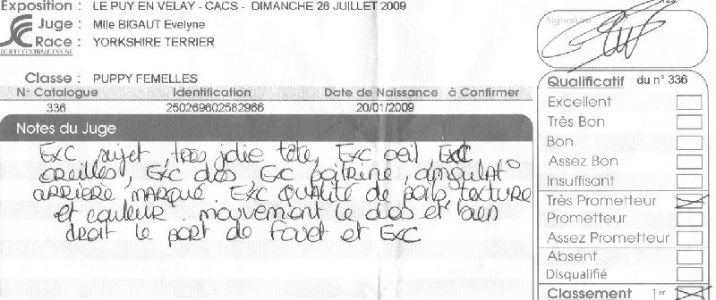 CH. Everlasting love Du domaine du president - 1ère très prometteur classe puppy femelle