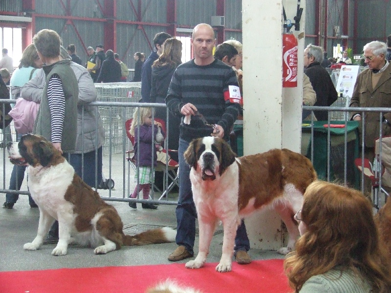 Publication : Du Bost Noir