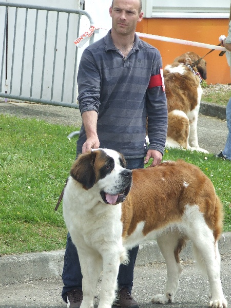 Publication : Du Bost Noir