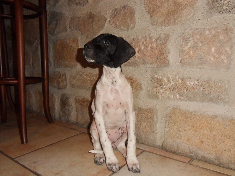 Publication : Du clos de la berruguette Auteur : rc