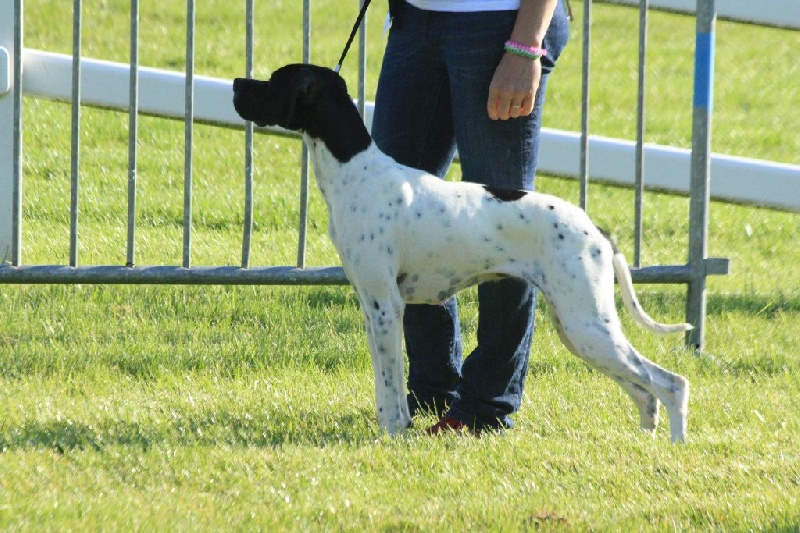 Publication : Du clos de la berruguette Auteur : rc