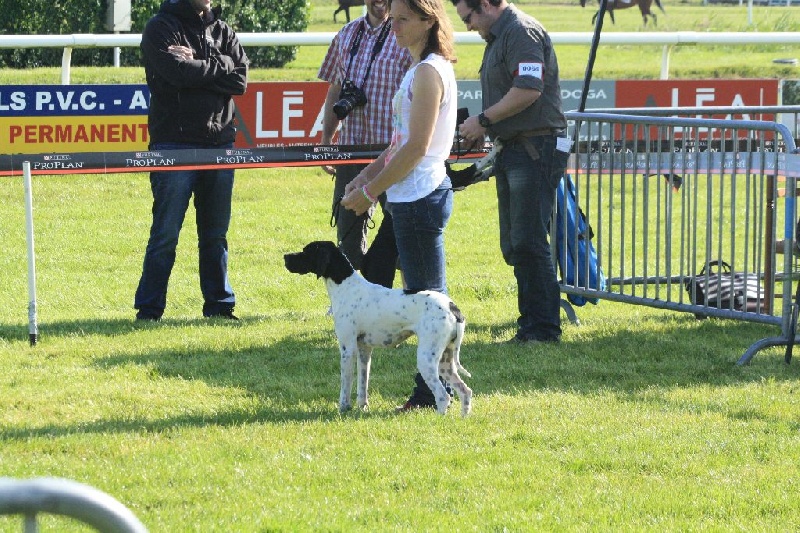 Publication : Du clos de la berruguette Auteur : rc