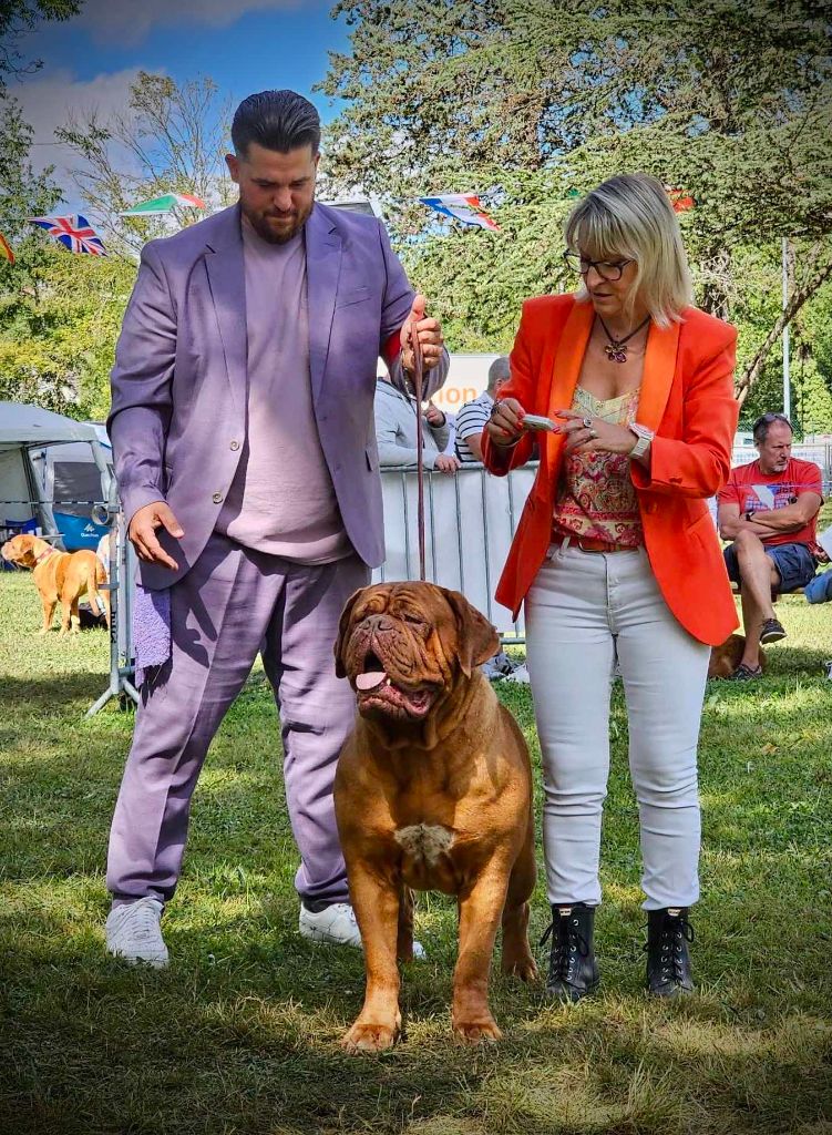 Legendarivs Canis Talion law - Non sélectionné